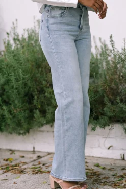 Cleo High Waist Wide Flare Jean