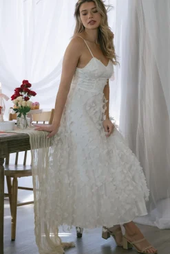 Dana Butterfly Mesh Dress