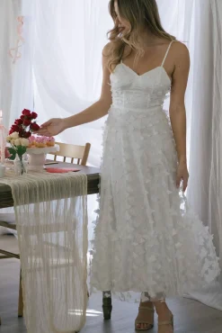 Dana Butterfly Mesh Dress