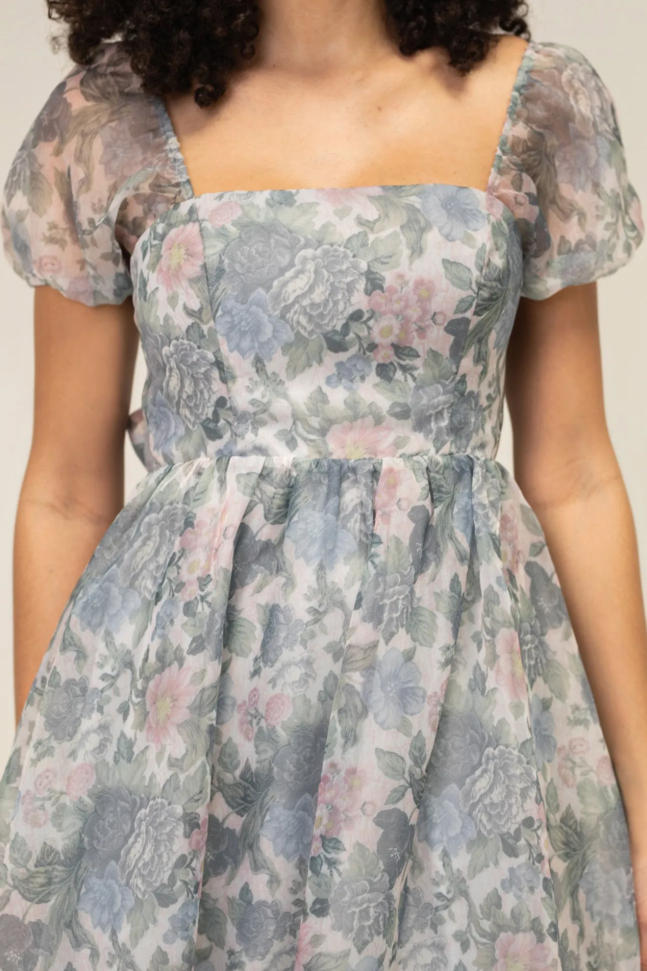 Sophia Floral Organza Dress