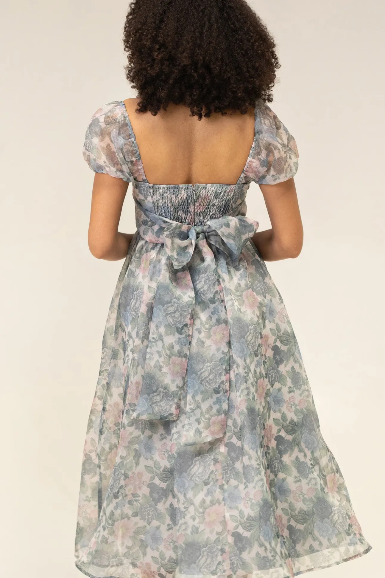 Sophia Floral Organza Dress