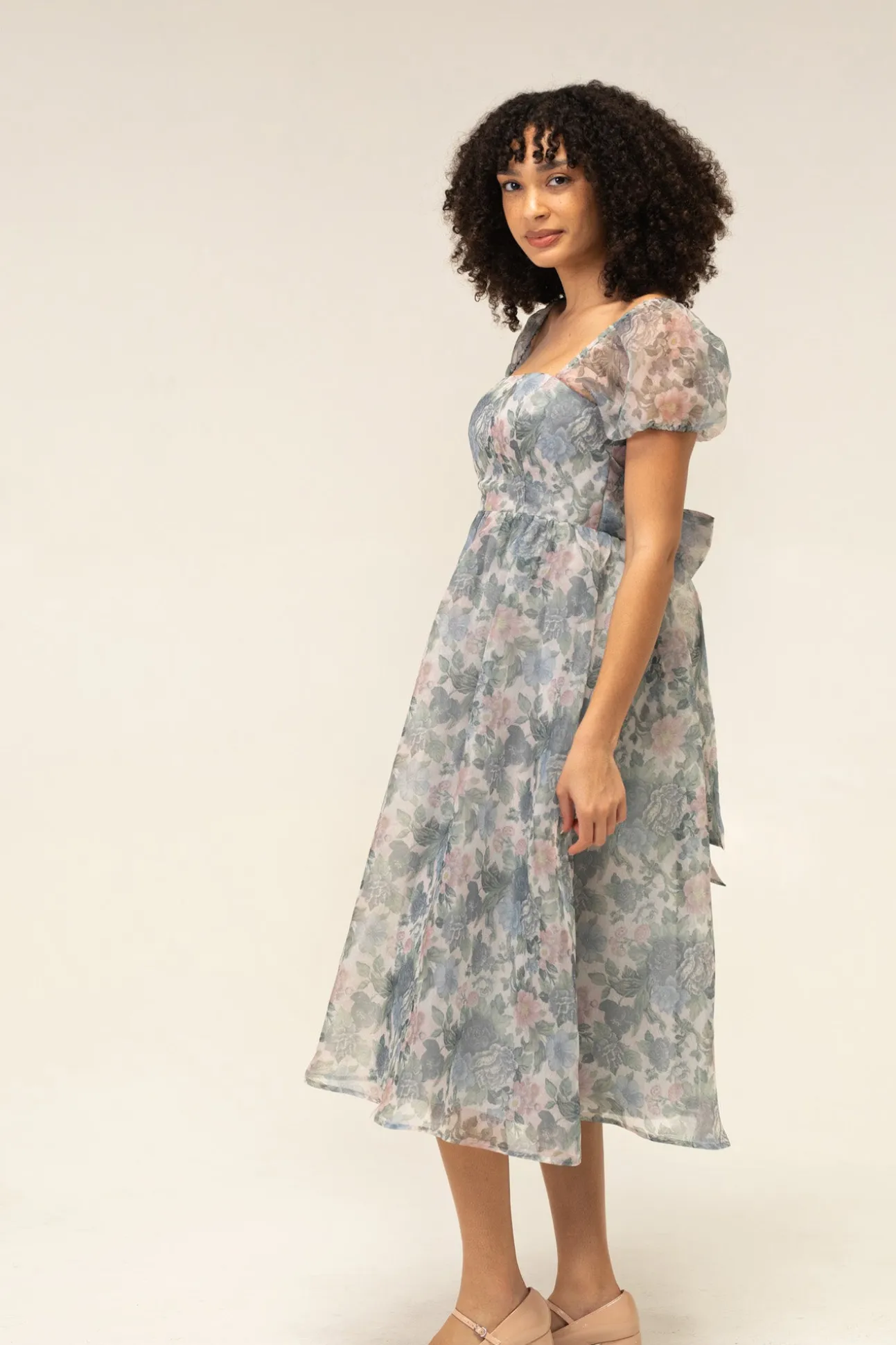 Sophia Floral Organza Dress
